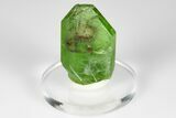 Olivine Peridot Crystal with Ludwigite Inclusions - Pakistan #183966-1